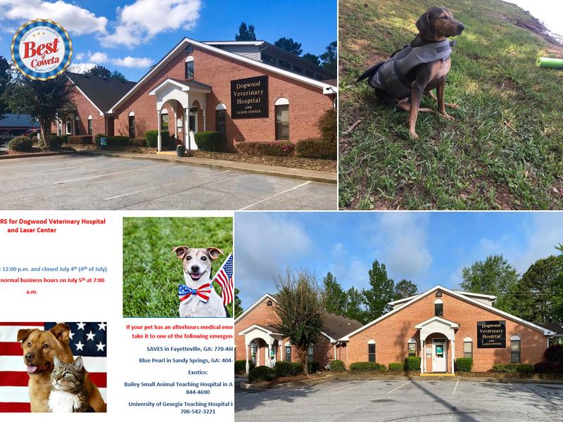 Dogwood Veterinary Hospital