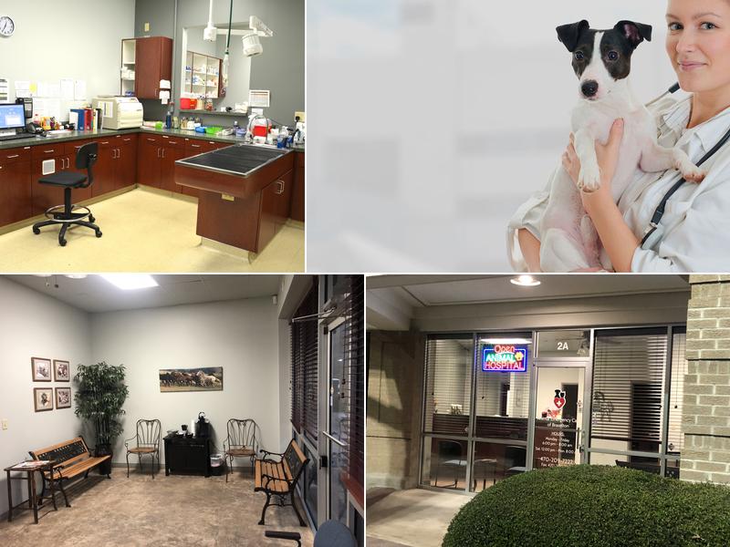 Animal Emergency Care of Braselton