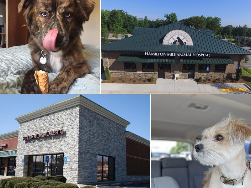 Hamilton Mill Animal Hospital
