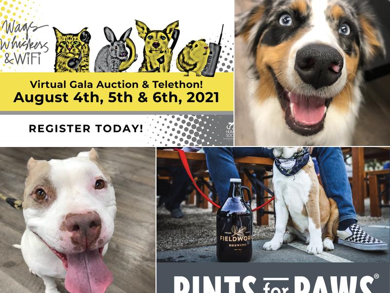 Animal Hospital of Cotati: Adams Laura DVM