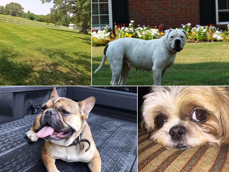 Valley Veterinary Associates