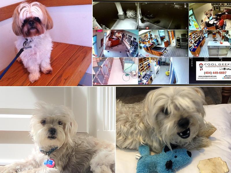 Sugarloaf Animal Hospital