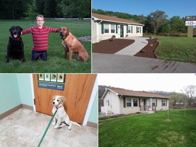 Muddy Creek Animal Clinic, LLC