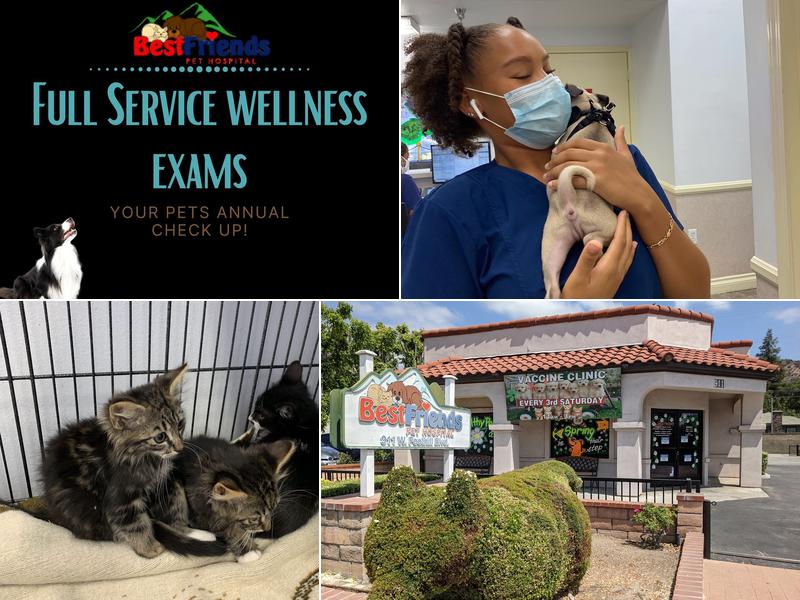 Best Friends Pet Hospital