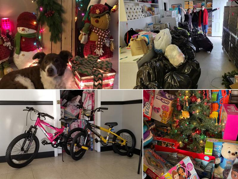 Valley Oak Veterinary Hospital: Thornburgh Richard DVM