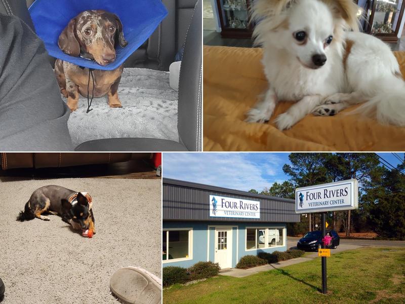 Four Rivers Veterinary Center