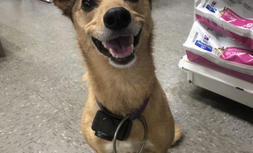 Harper's Animal Clinic