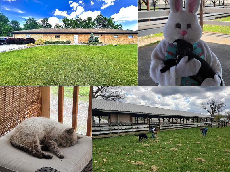 Allegheny Spay & Neuter Clinic