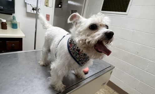 Delano Veterinary Hospital