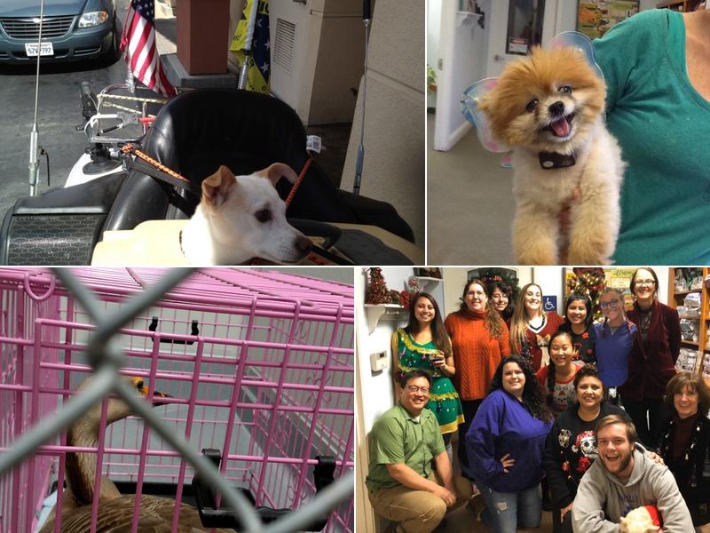 Princevalle Pet Hospital, Inc.