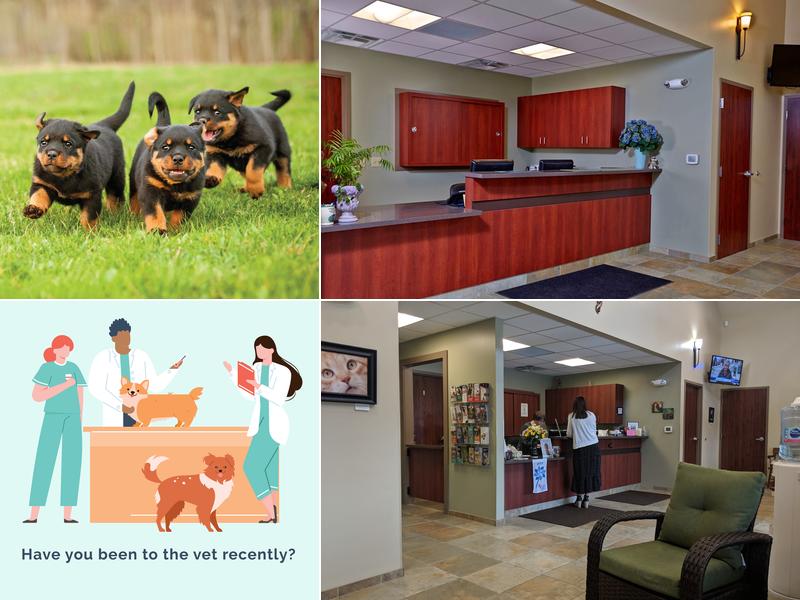 Confederate Woods Veterinary Hospital