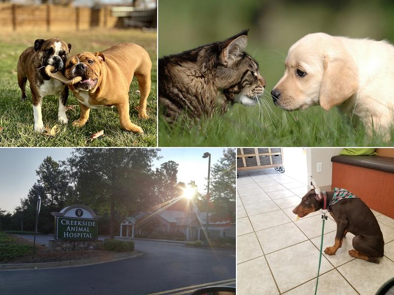 Creekside Animal Hospital