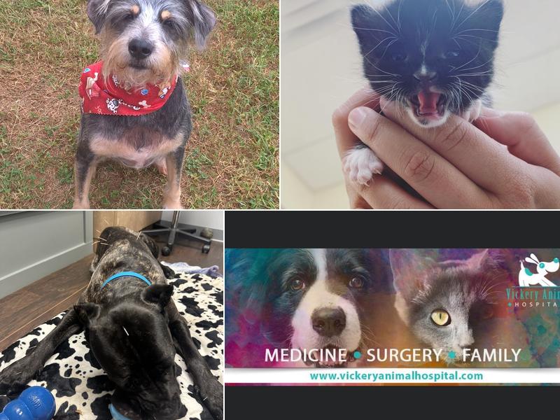 Vickery Animal Hospital