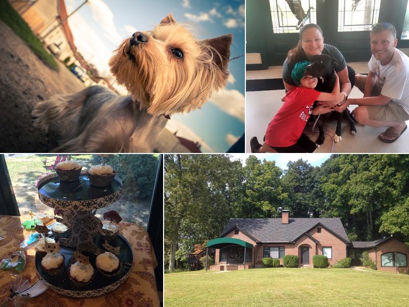 North Main Animal Hospital