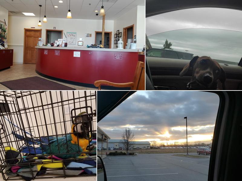 Spring Mills Veterinary Hospital