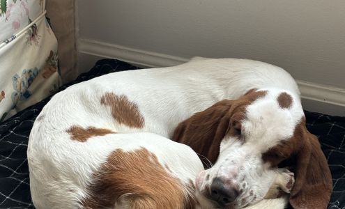 Lawrenceville-Suwanee Animal Hospital