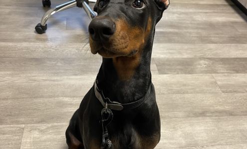 Hall Barrs Animal Clinic 5550 Old Macon Rd, Danville Georgia 31017