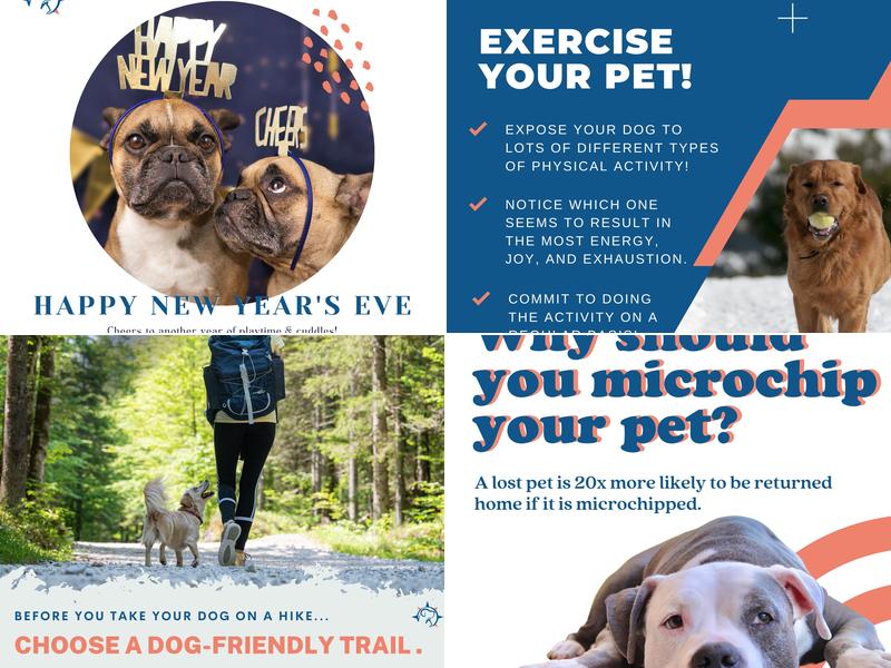 Quinebaug Valley Veterinary: Previe Christine DVM