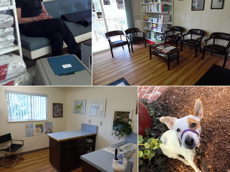 Stenner Creek Animal Hospital