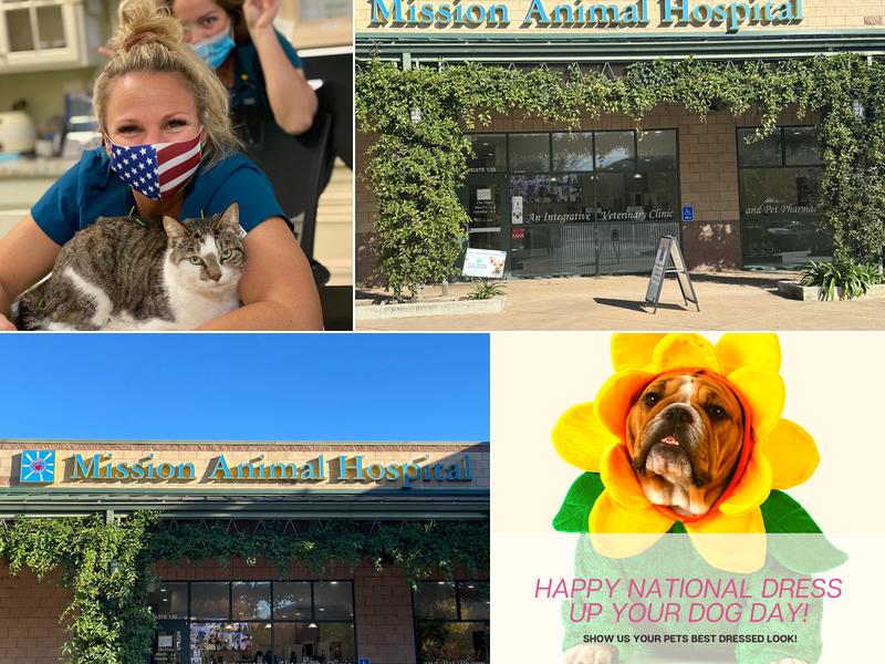 Mission Animal Hospital, A Thrive Pet Healthcare Partner