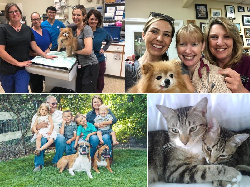 Dr. Sharon Klintworth, DVM