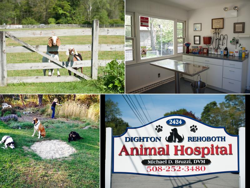 Dighton Rehoboth Animal Hospital, Inc