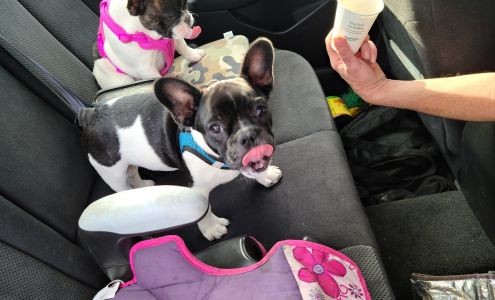 Buellton Veterinary Clinic