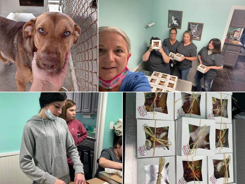 Dillon Animal Hospital: Hooker Robert DVM