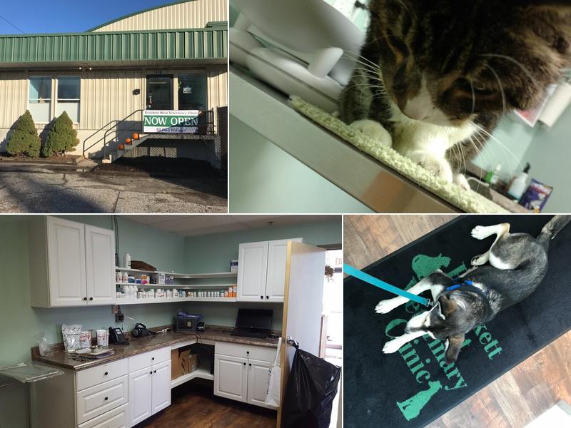 Brackett West Veterinary Clinic
