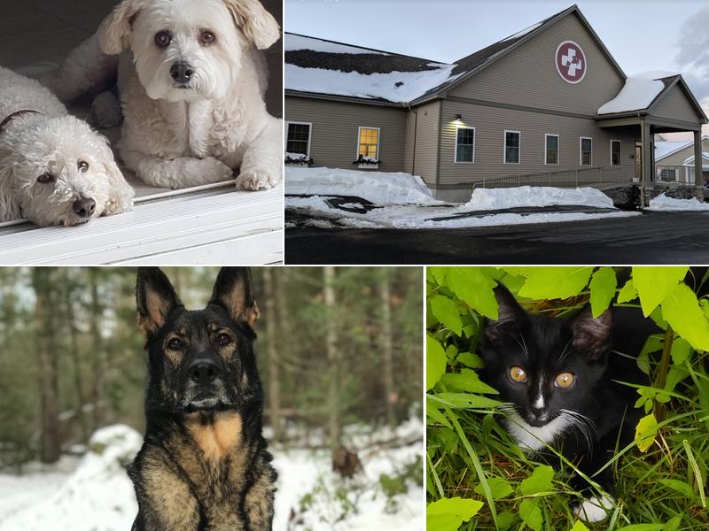 Saco Veterinary Urgent Care