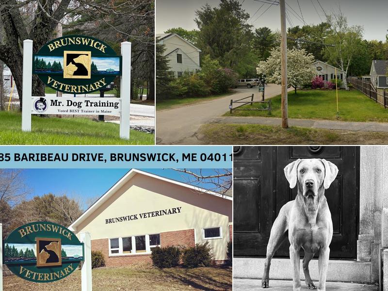 Brunswick Veterinary Clinic