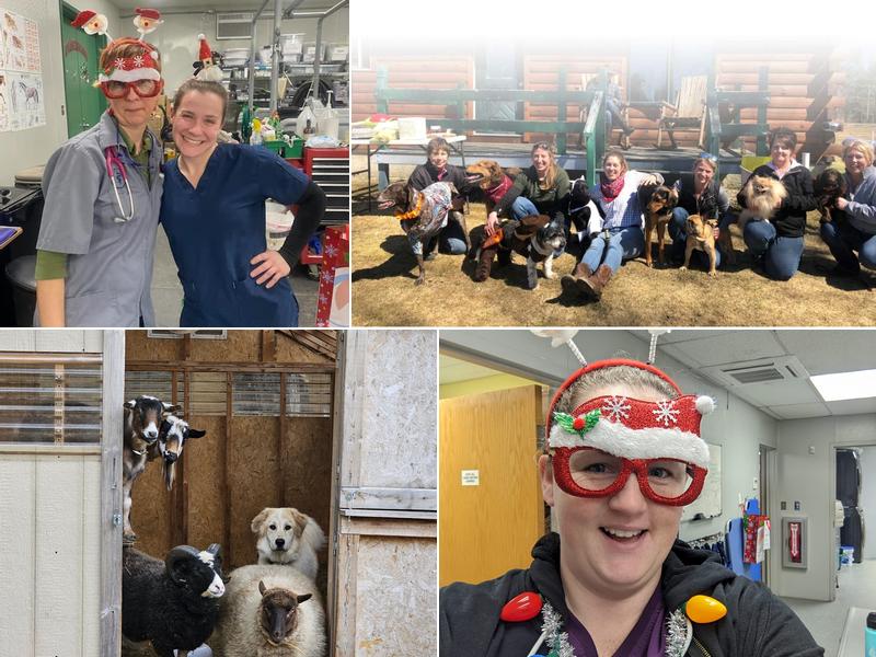 Annabessacook Veterinary Clinic