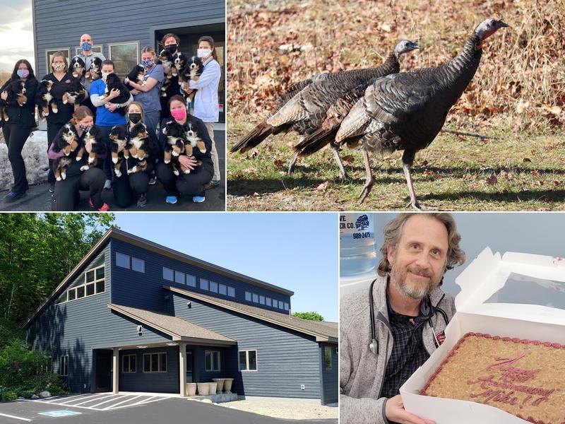 Veazie Veterinary Clinic: Cloutier, Keene, McCaw, Tardiff