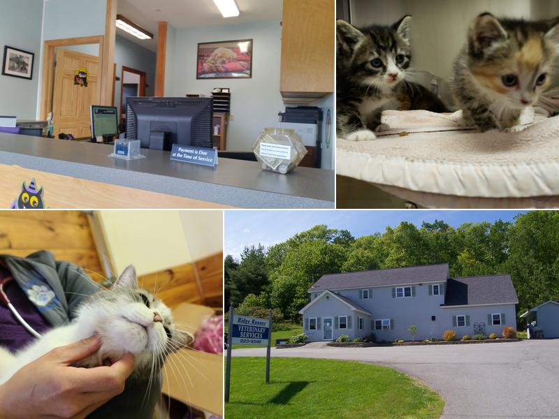 Ridge Runner Veterinary Services