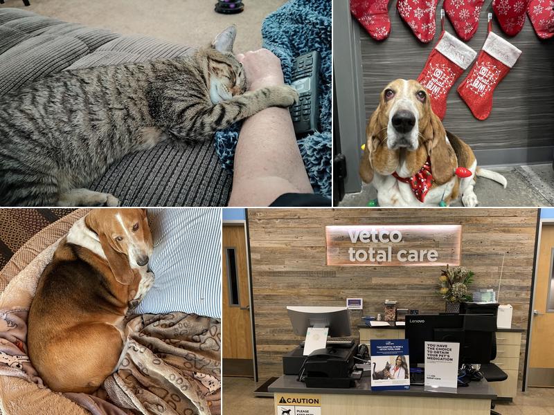 Great Falls Veterinary Hospital