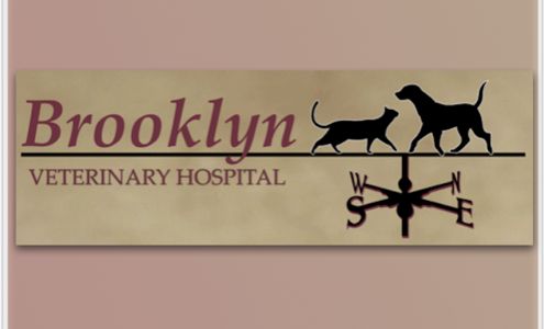 Brooklyn Veterinary Hospital 150 Hartford Rd, Brooklyn Connecticut 06234