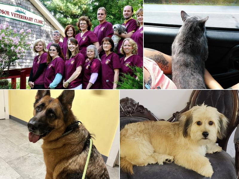 Windsor Veterinary Clinic