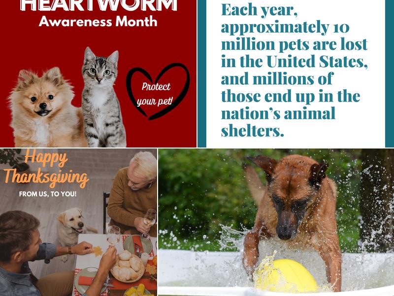 Acres Mill Veterinary Clinic: Good Michael P DVM