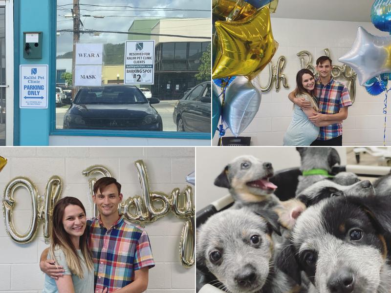 Kalihi Pet Clinic LLC: Obara Alan DVM