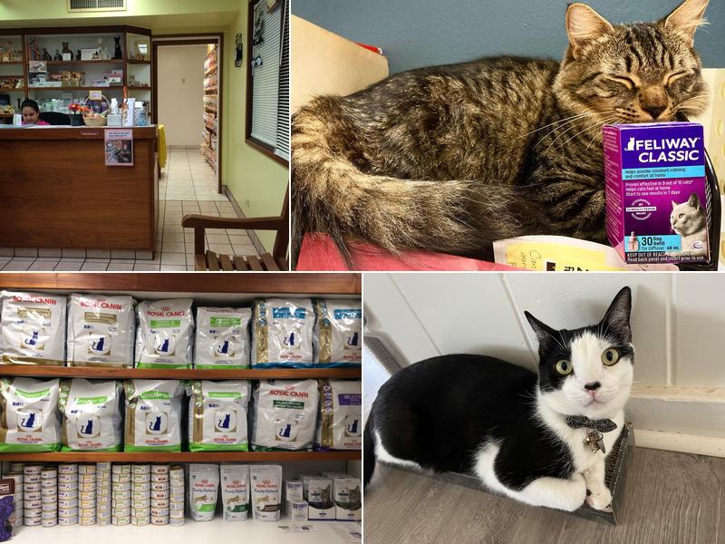 Purradise Cat Care, Inc.