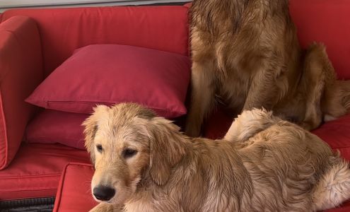 Animal House Veterinary Center