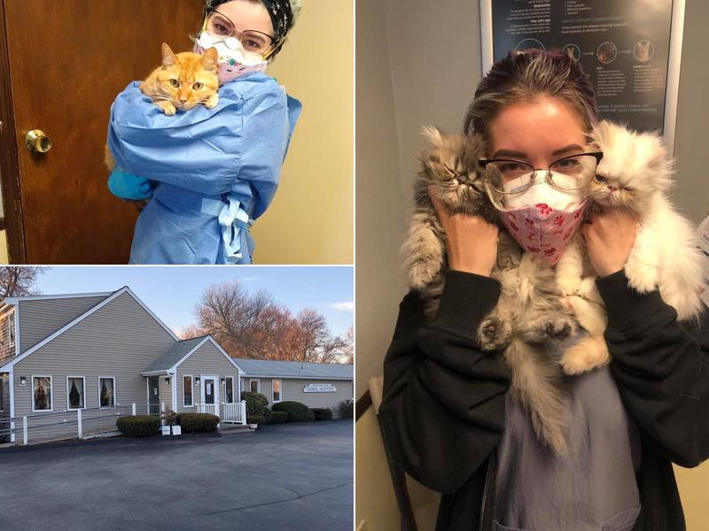 New England Animal Hospital: Harrington Keith G DVM