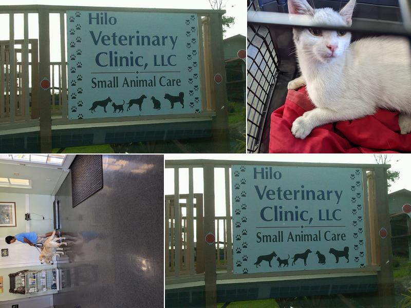 Hilo Veterinary Clinic