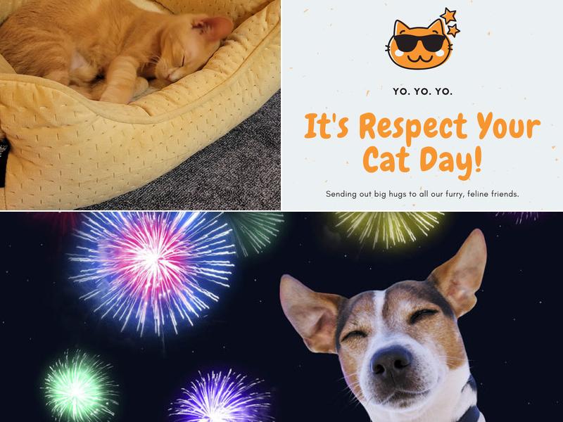 Lahaina Veterinary Clinic