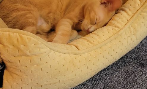 Lahaina Veterinary Clinic