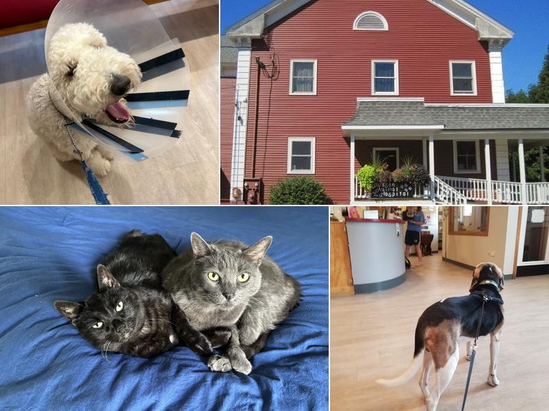 Hudson Animal Hospital