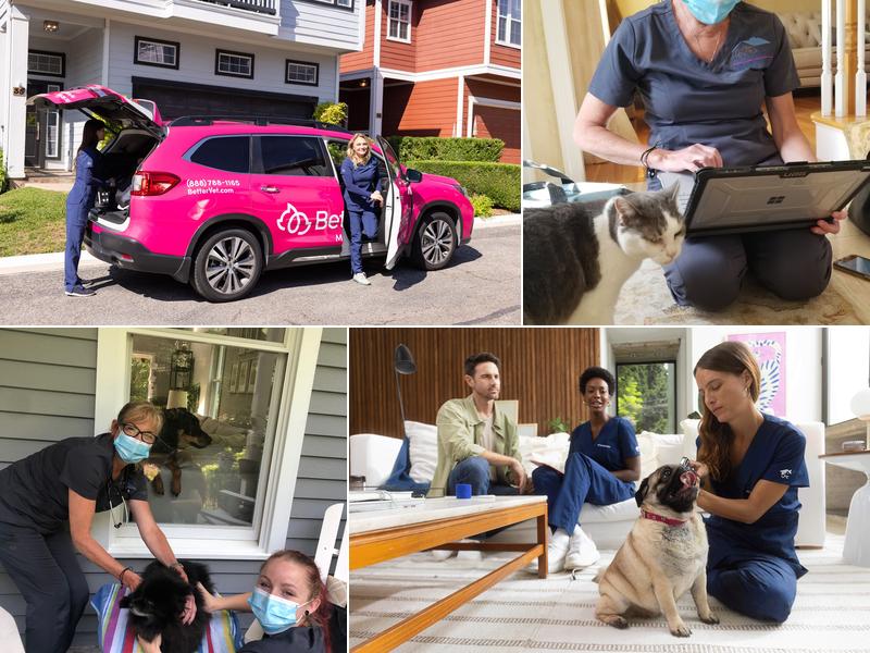 BetterVet Boston, Mobile Vet Services