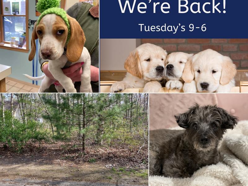 Forestdale Veterinary Clinic