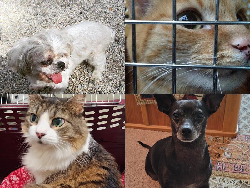 Deer Run Veterinary Services