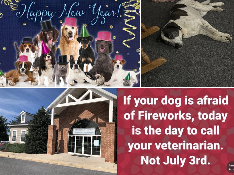 Manchester Veterinary Services